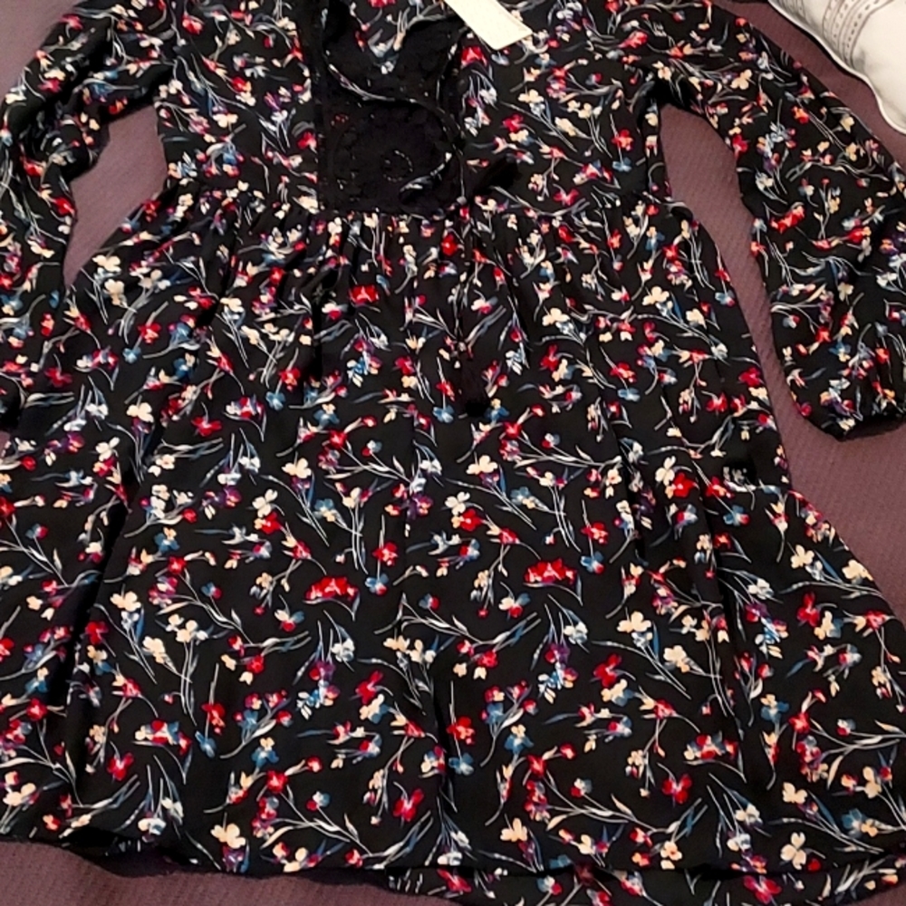 Daniel Rainn dress